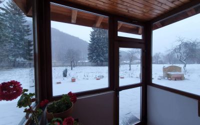 IMG-20191228-WA0006